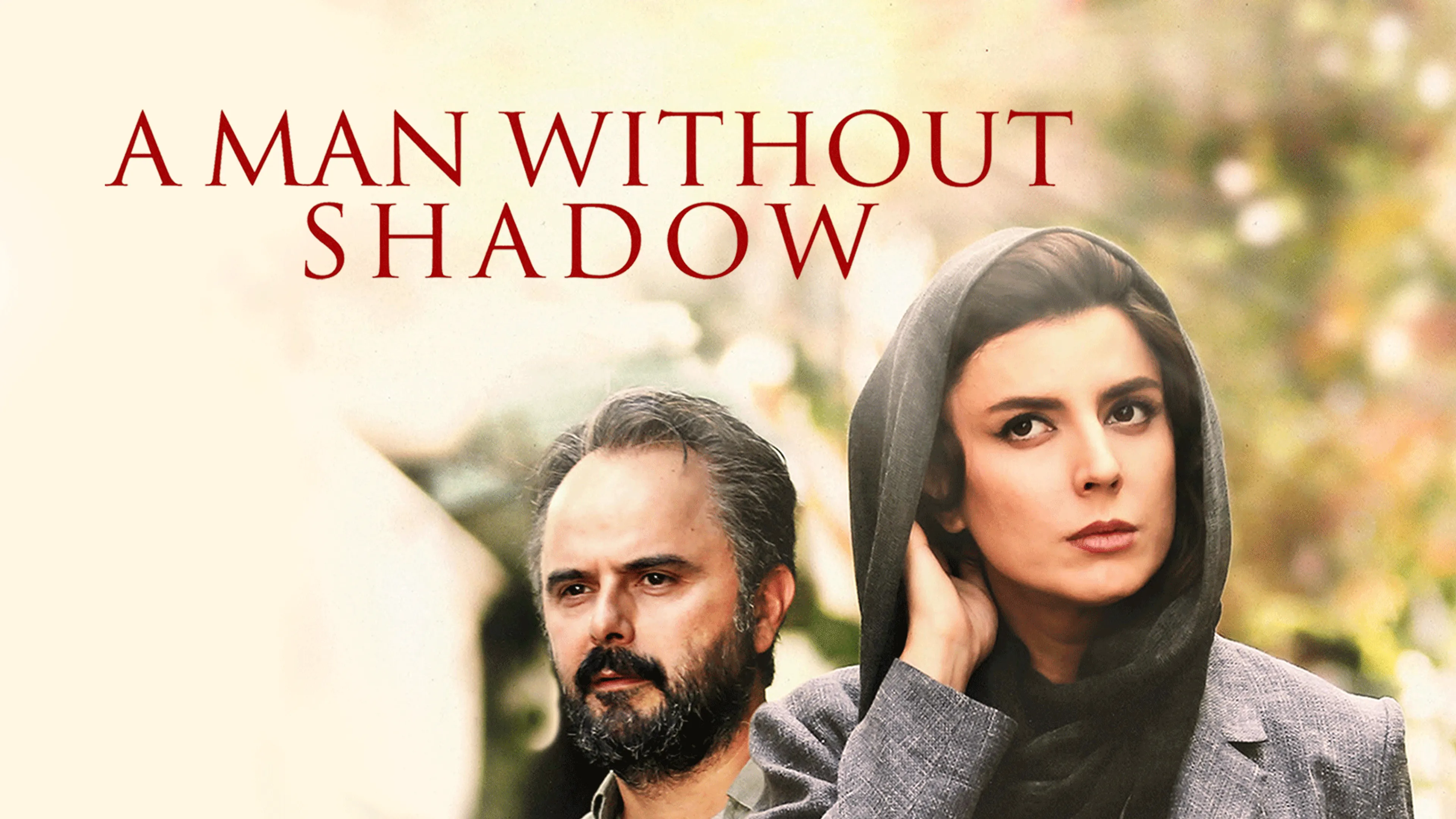 A Man Without Shadow poster